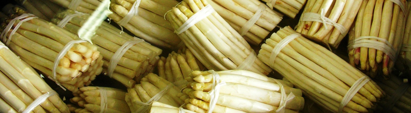 Foto degli asparagi I.G.P.  di Badoere